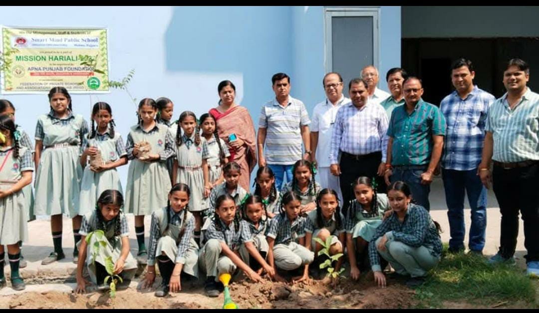 Tree Plantation